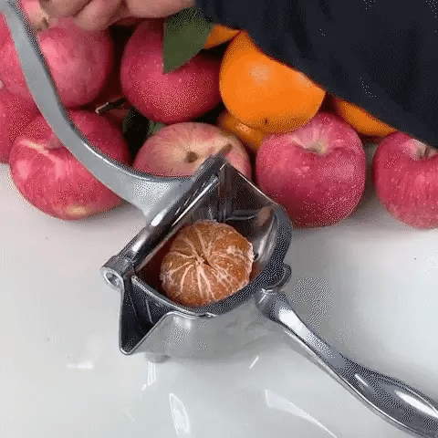 Multi Fruit Press Juicer